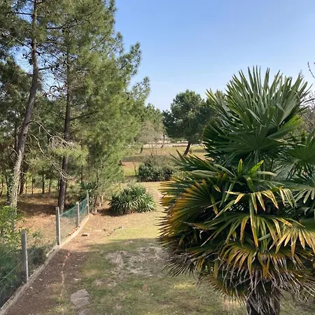 Maison 2 Port De Plaisance Holiday home